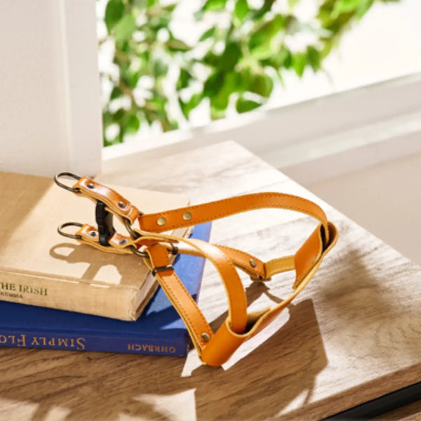 Bonbi Pets Tochigi Cowhide Leather Dog Harness Camel Brown