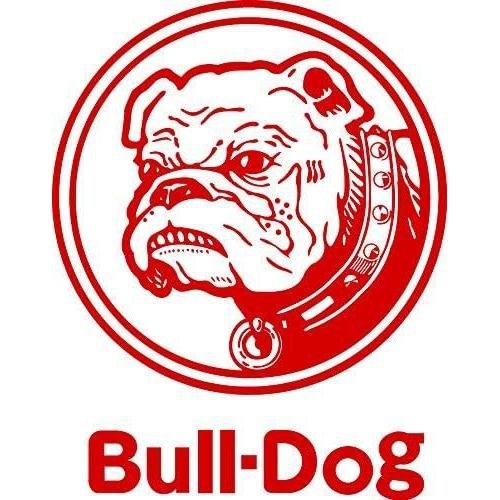 Bull-Dog Japanese Worcestershire Sauce 300ml