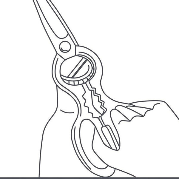 Enjuku Easy To Clean Take-Apart Kitchen Scissors With Built-In Bottle Opener