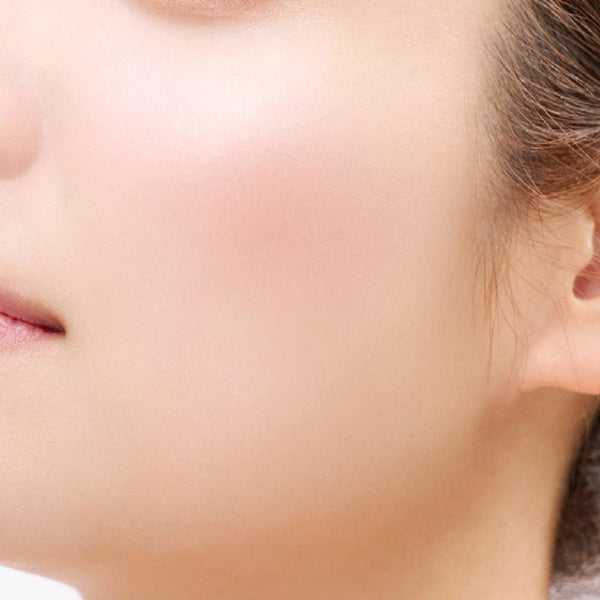 Etvos Mineral Pressed Cheek Two-Tone Blush Palette 4.5g