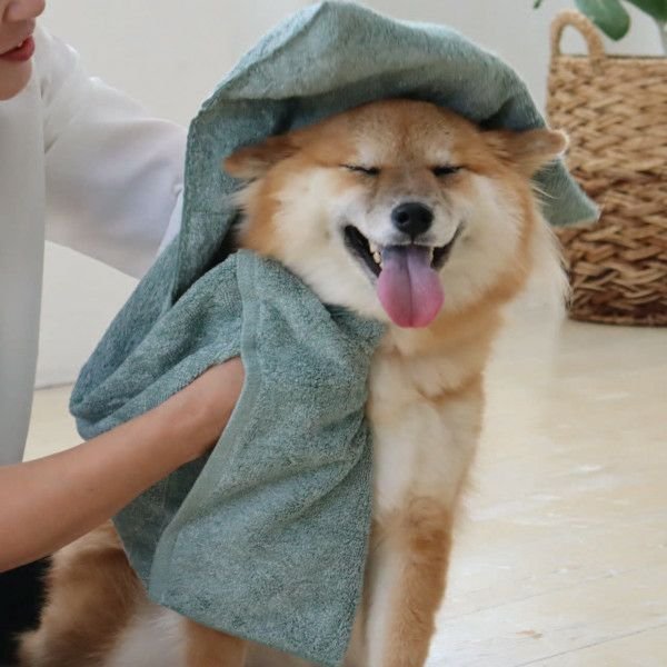 Jogan Pet Towel Super Absorbant Bath Towel for Pets Green 34×78cm