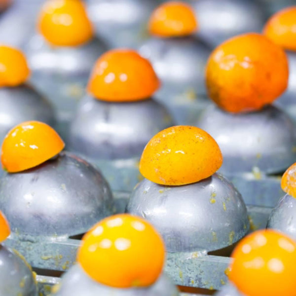 Kiyomi Tangor Sweet Citrus Juice 100% Natural Freshly Squeezed 180ml