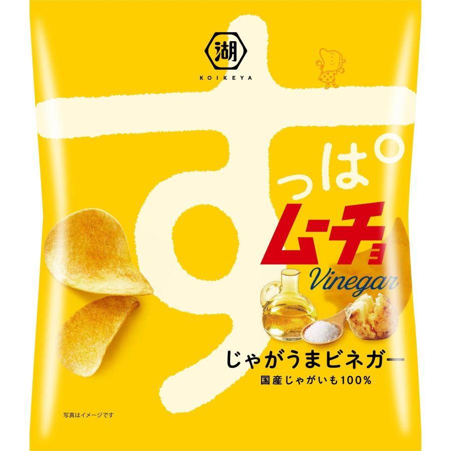 Koikeya Suppamucho Sour Vinegar Chips 55g