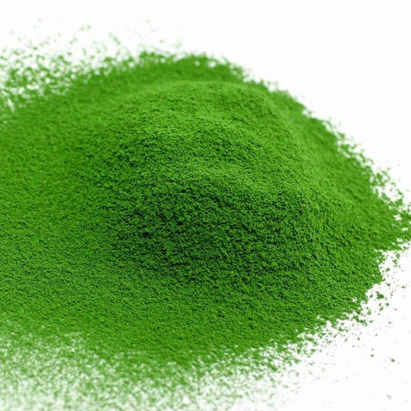 Marukyu Koyamaen Wako Matcha Powder Usucha Matcha Green Tea Powder 40g