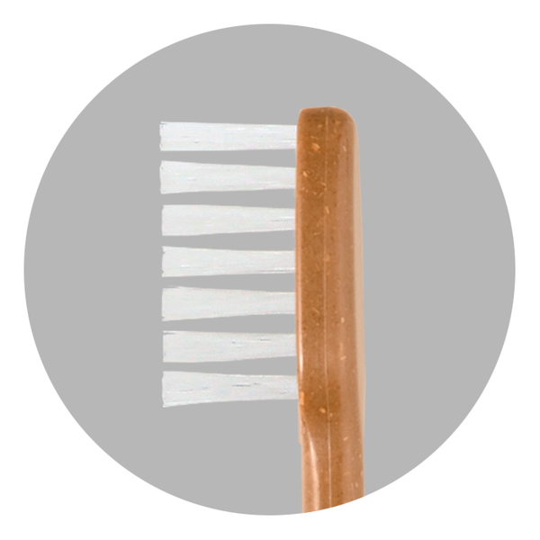 Meguru Eco Friendly Vegan Bamboo Toothbrush Regular Bristle