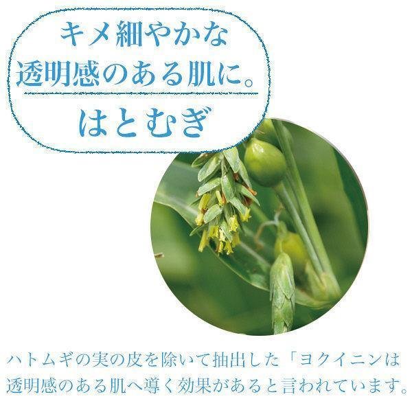 Kosé Bihada Syokunin Brightening Hatomugi Job Tear's Mask 7 Sheets