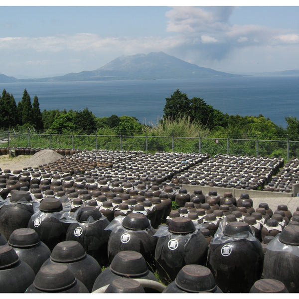 Marushige Black Vinegar 3+ Years Aged Premium Drinking Vinegar 185ml