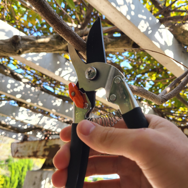 Saboten Pro Pruning Shears Lightweight Heavy Duty Pruners 205mm