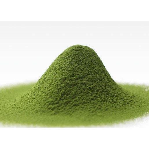 Shooken Nagasaki Matcha Flavor Castella Sponge Cake 1 Piece