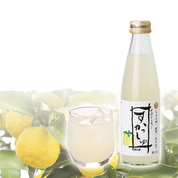 Tajima Jozo Sparkling Yuzu & Yabu Ginger Vinegar Soda Drink 200ml