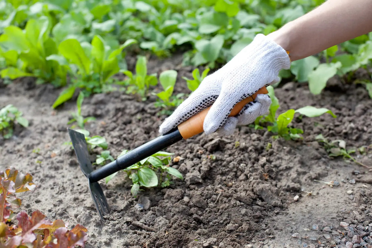 garden hoes daitool