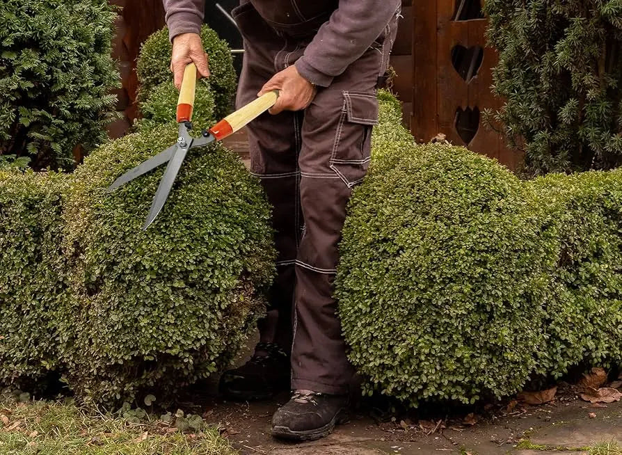 hedge clippers daitool