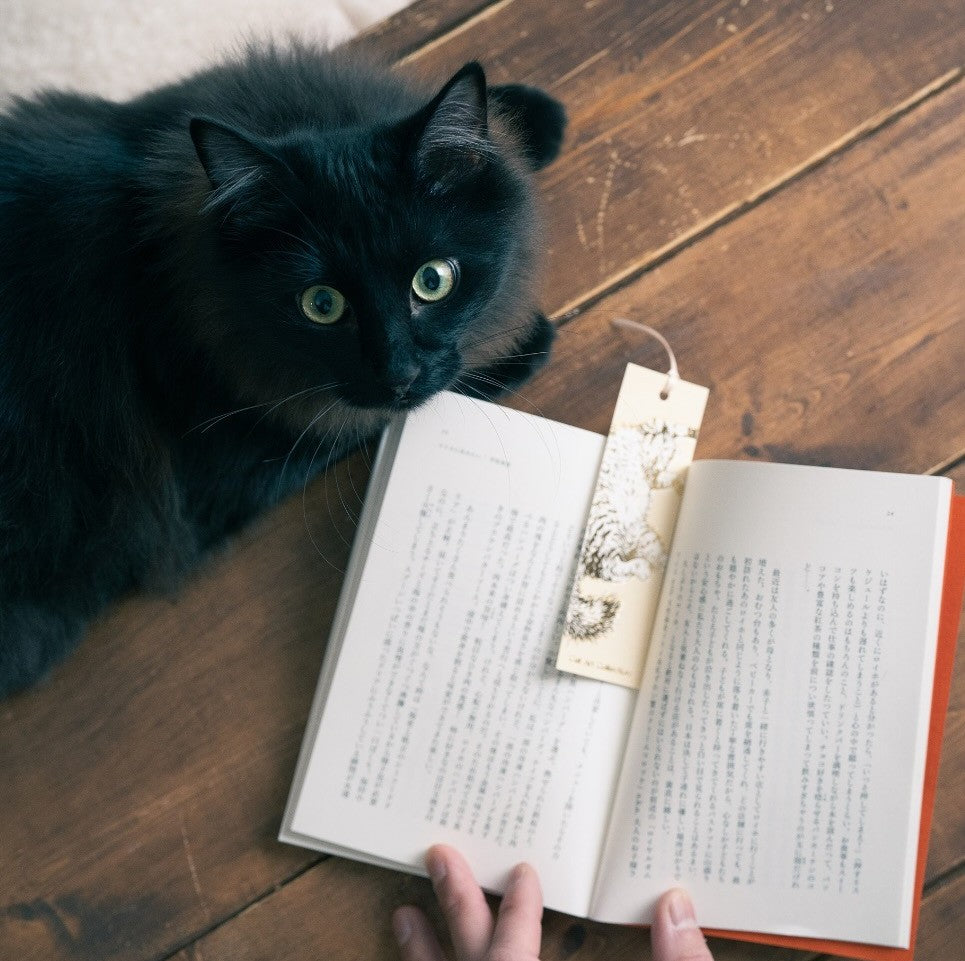 Bookmarks