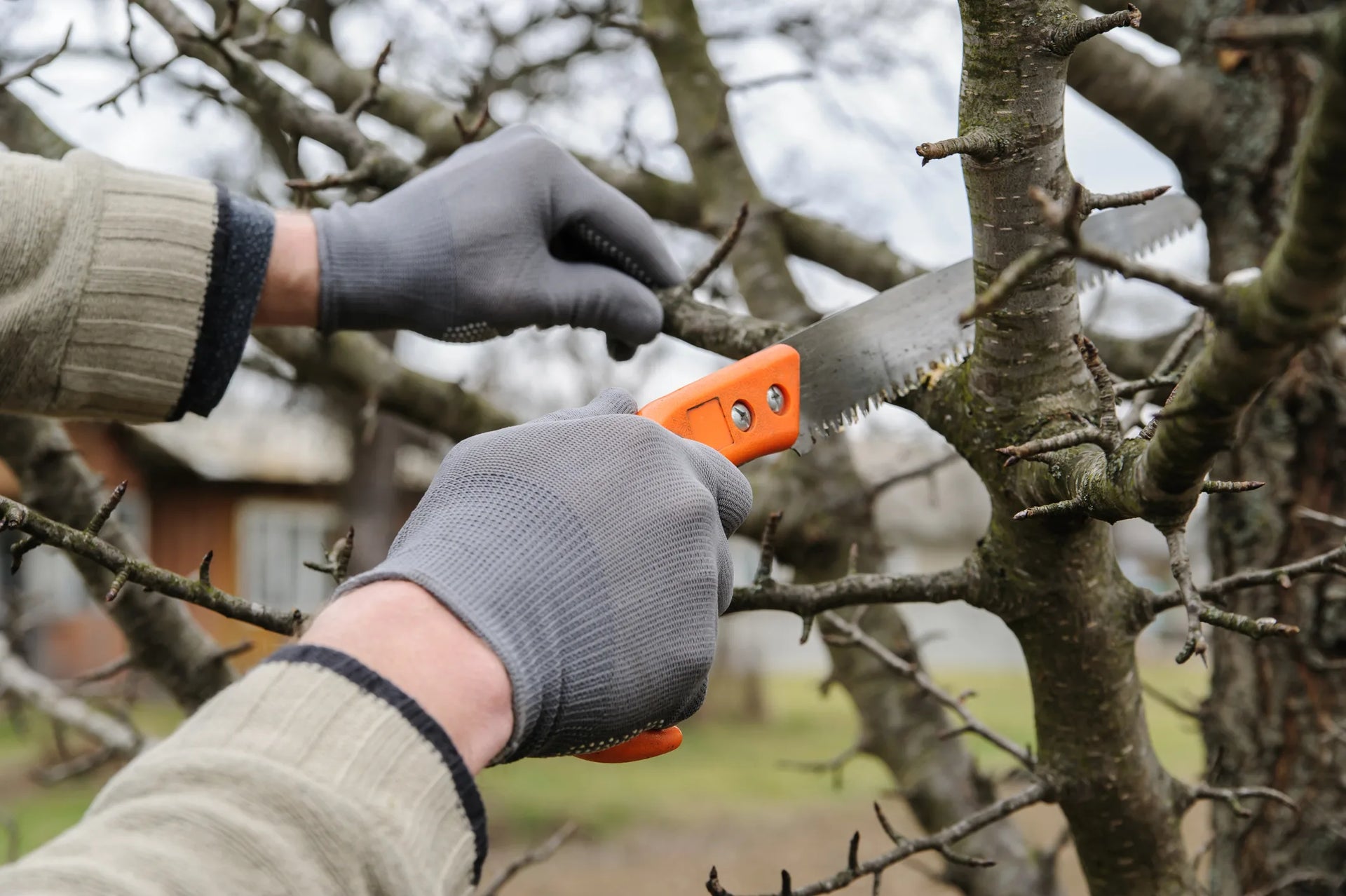 japanese pruning saws daitool