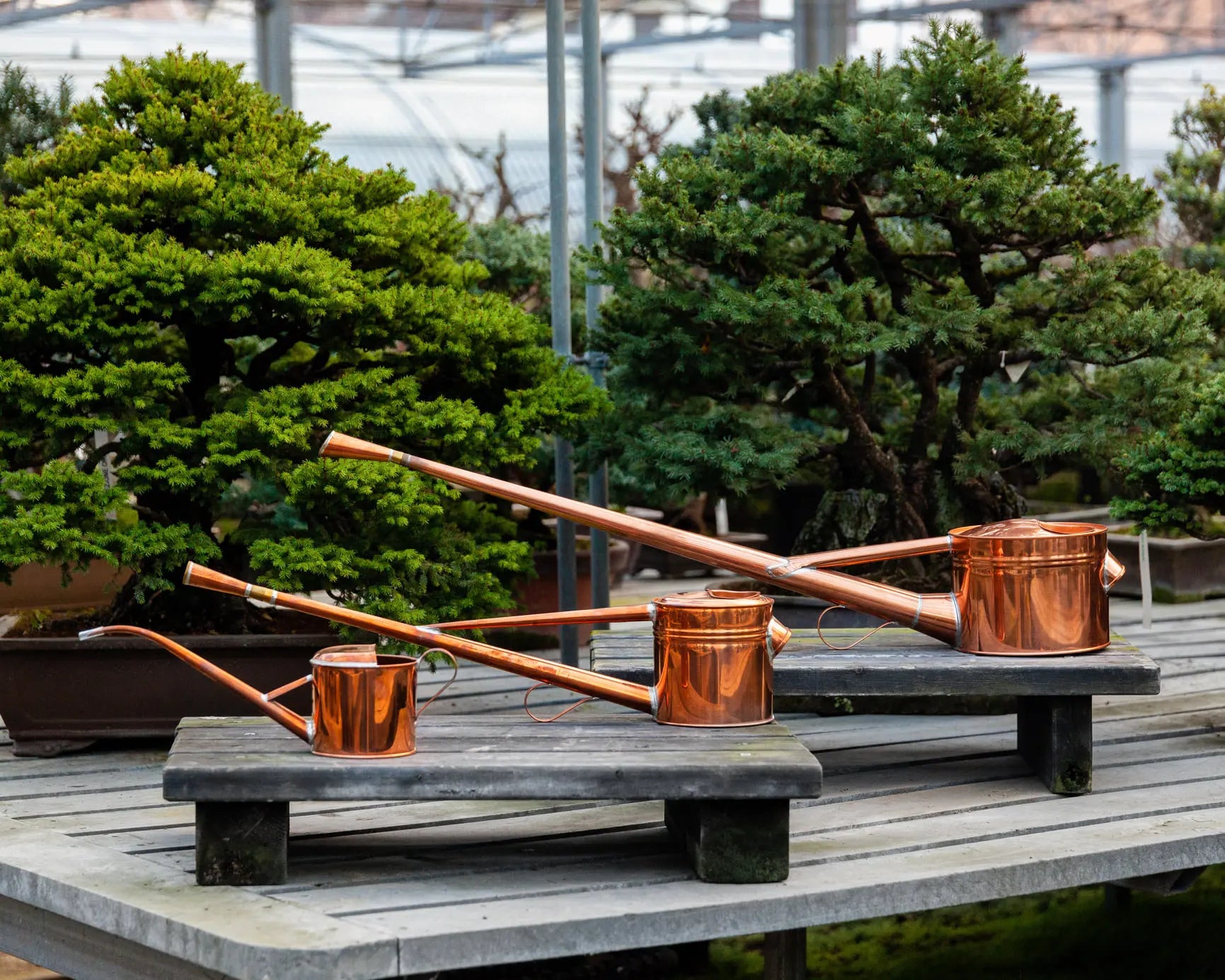 negishi japanese copper bonsai watering cans daitool
