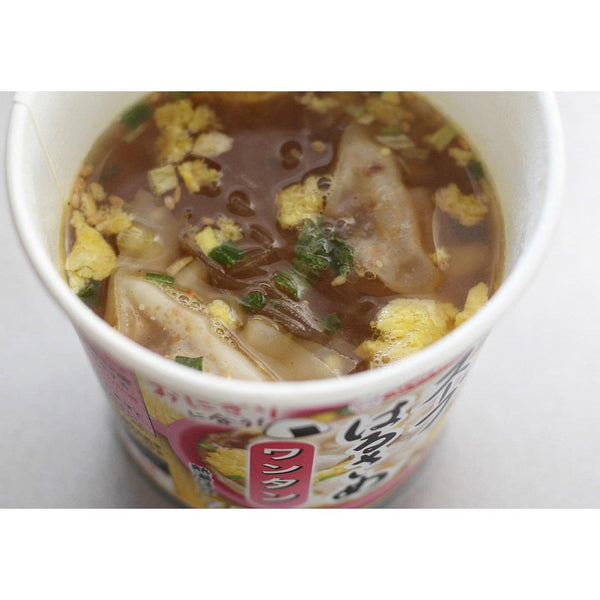 Acecook Harusame Glass Noodles & Wonton Dumpling Soup 22g