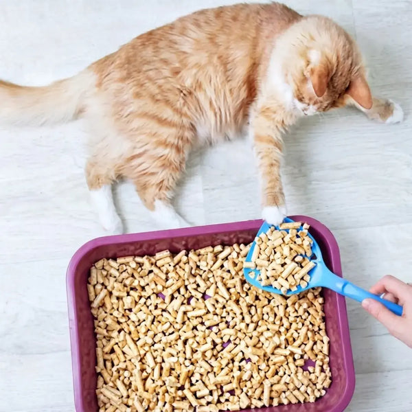 Add.Mate Deodorizing Wood Cat Litter Sakura Scent Flushable 7L