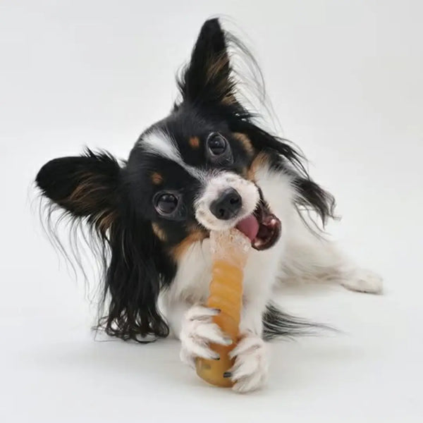 Add.Mate Natural Dental Corn Chew Toy for Teeth Cleaning Small