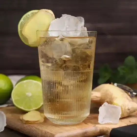 Asahi Wilkinson Dry Ginger Ale 500ml