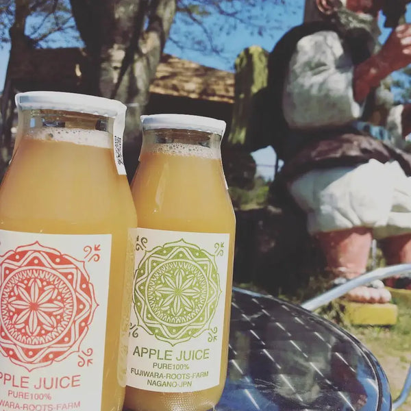 Fujiwara Roots Farm Pure Natural Nagano Apple Juice 180ml