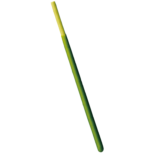 Glico Matcha Pocky Green Tea Pocky Sticks  (Pack of 3)