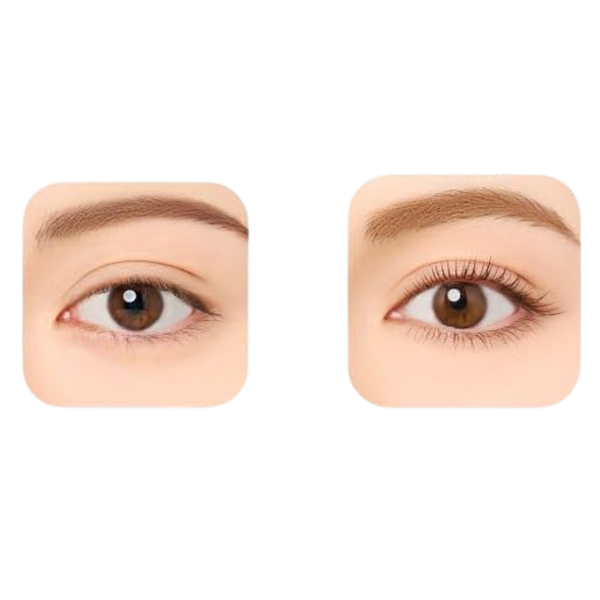 Love-Liner-All-Lash-Mask-Long-and-Separating-Brown-Black-Mascara--3-2024-11-01T01:53:08.272Z.png