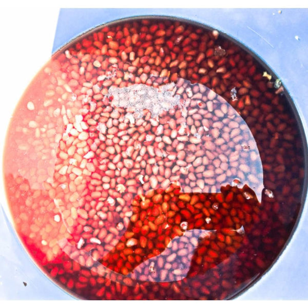 Marushige Aged Concentrated Pomegranate Vinegar Beauty Drink 185ml