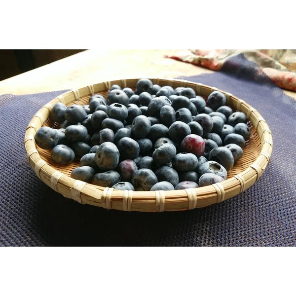 Marushige Blueberry Premium Drinking Vinegar 500ml