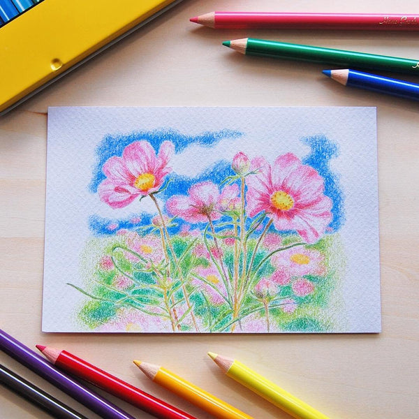 Tombow Colored Pencils 12 Colors CB-NQ12C