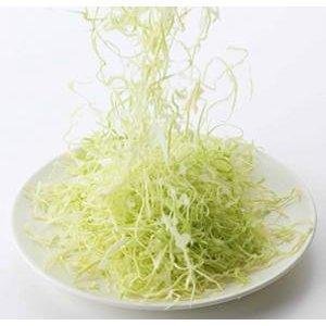 Shimomura Mandoline Cabbage Shredder Slicer 35950