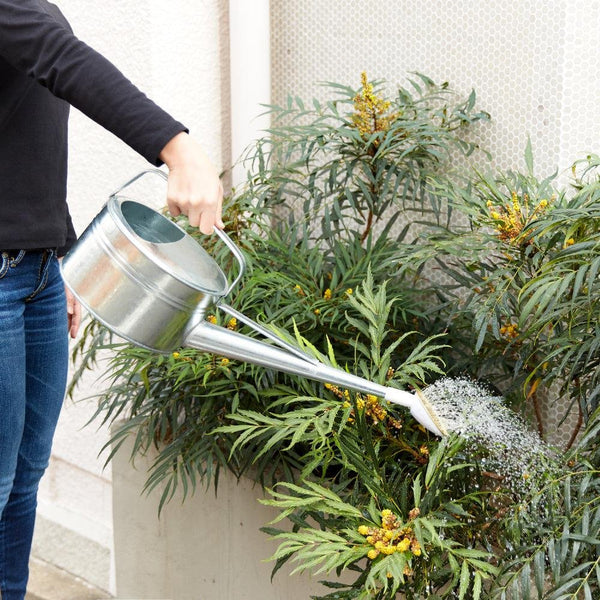 Trusco Galvanized Watering Can 6 Liters CGI-06