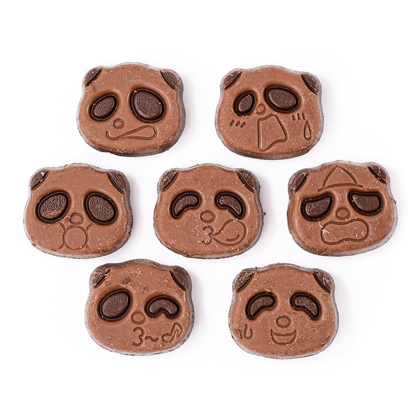 Sakusaku Panda Rice Biscuits with Milk & Salted Milk Chocolate 47 g