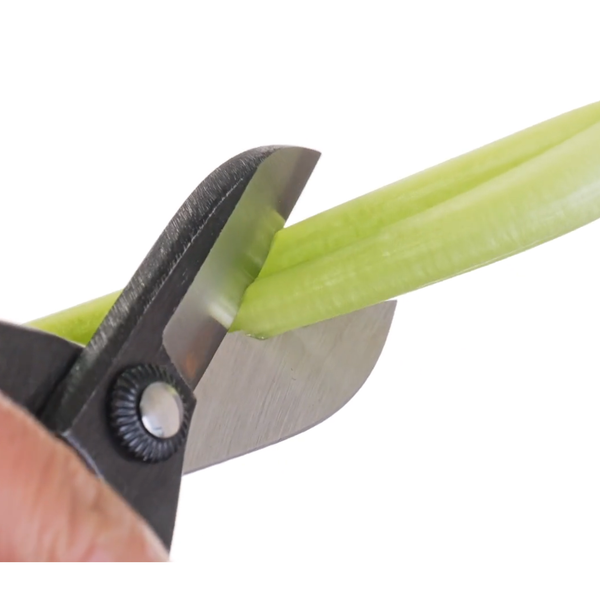 Toyama Hamono Warabite Style Ikebana Flower Scissors 165mm
